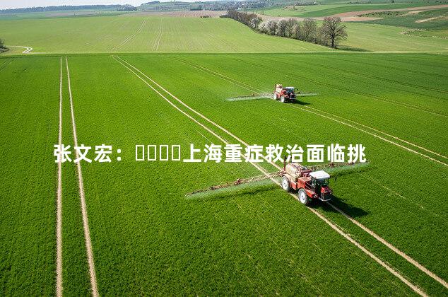 张文宏：上海重症救治面临挑战